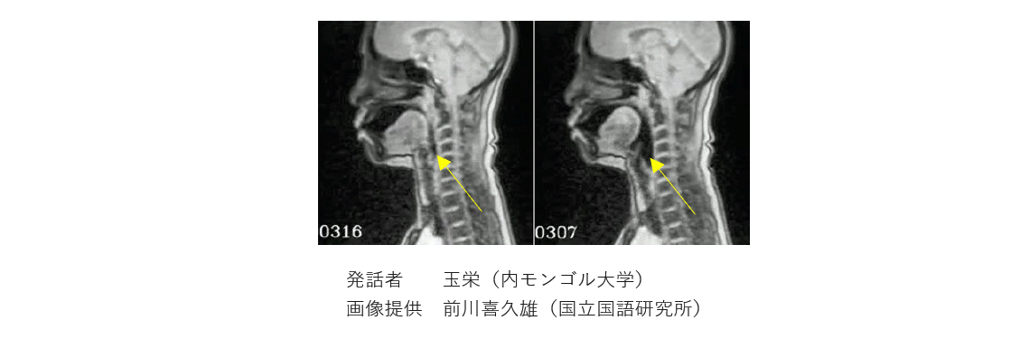 image-20250910142220370